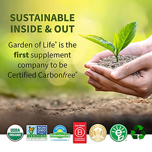 Garden of Life Sport Organic Plant Based Energy + Focus Clean Pre Workout Powder, with 85mg Caffeine, Natural No Booster, B12, Vegan, Gluten Free, Non-GMO, Blackberry, 15.3 Oz