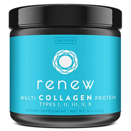 WellPath Renew [Multi Collagen Protein Powder] - 5 Types of Collagen - Hydrolyzed Grass-Fed Bovine, Marine, & Chicken Collagen Peptides - Type I, II, III, V, and X - Keto Friendly Supplement, 11 oz