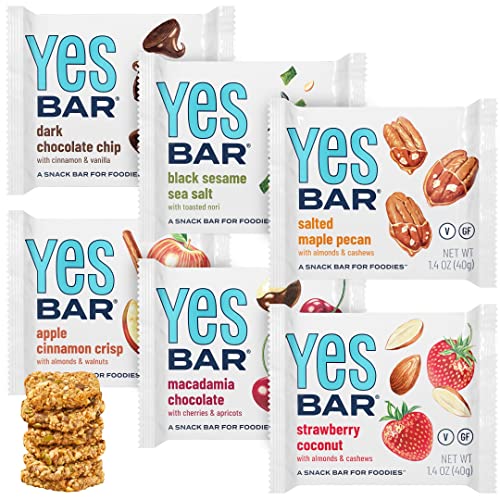YES Bar – Six Flavor Variety Pack – Plant Based Protein, Decadent Snack Bar – Vegan, Paleo, Gluten Free, Dairy Free, Low Sugar, Healthy Snack, Breakfast, Low Carb, Keto Friendly (Pack of 6)