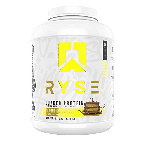 Ryse Loaded Protein Peanut Butter Cup | 24-25g Premium Whey Protein | MCT Healthy Fats | 54 Serving | Organic Prebiotic Fiber | Low Carbs and Low Sugar | Easy Mixing & Amazing Taste