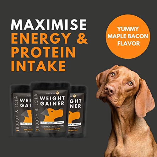 Buddy & Lola Dog Weight Gainer - Dog Supplement for Weight Gain - Dog Protien Powder for Max Muscle Builder, High Calorie Supplement for All Dogs & Breeds inc Bully. Pro Food Topper - Made in The USA