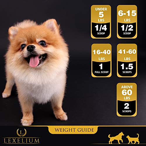 Lexelium Weight Gainer Supplement for Dogs & Cats - Muscle Building & Appetite Stimulation - 100% Natural Pet Supplement to Add Weight & Increase Immunity in Puppies and Kittens -200g