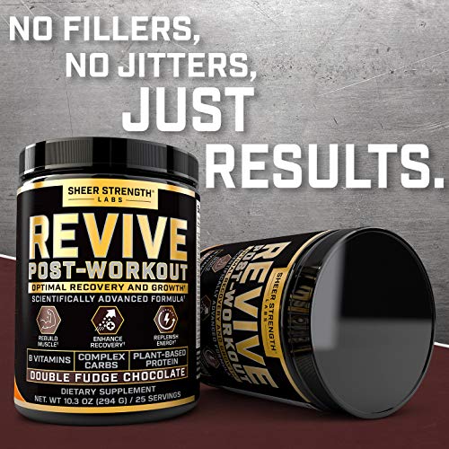 Sheer Revive Post Workout Recovery Drink - Plant Based Protein Powder with B Vitamins - Double Fudge Chocolate Flavor