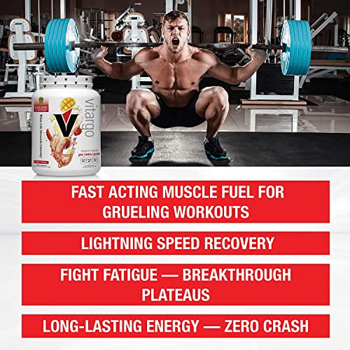 Vitargo Carbohydrate Powder | Feed Muscle Glycogen 2X Faster | 4.4 LB Fruit Punch Pre Workout & Post Workout | Carb Supplement for Recovery, Endurance, Gain Muscle Mass