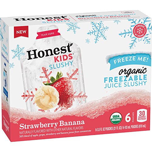 Honest Kids Certified Organic Fruit Quencher, 6.75 Ounce Pouches (Pack of 32)