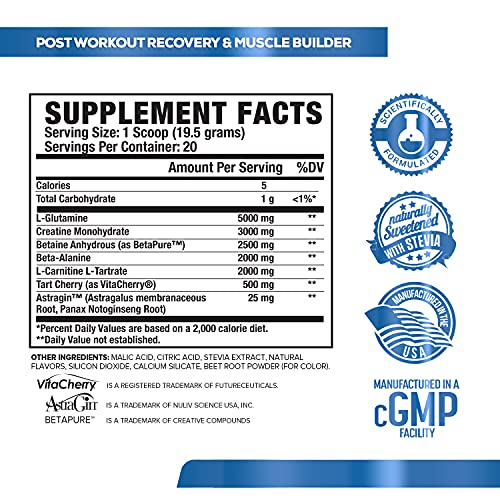 POWERBUILD Clinically-Dosed Post Workout Recovery & Muscle Building Supplement - Boost Muscle Growth, Recovery, & Strength - Creatine, Glutamine, & 5 More Powerful Ingredients - Mixed Berry Blast 13.76 Oz