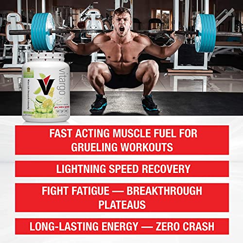 Vitargo Carbohydrate Powder | Feed Muscle Glycogen 2X Faster | 4.4 LB Lemon & Lime Pre Workout & Post Workout | Carb Supplement for Recovery, Endurance, Gain Muscle Mass