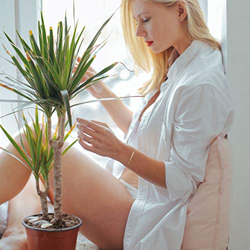 Dainty 18K Gold Plated Bar Bracelet for Women