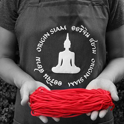 Origin Siam Handmade Thai Knot Wristband With Brass Amulet | Blessed Woven Macrame Bracelet | For Karma Good Luck Love Friendship Yoga Meditation Mindfulness (Red)