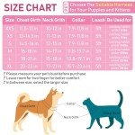 Small Dog Harness and Leash Set - Pink