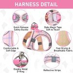 Small Dog Harness and Leash Set - Pink