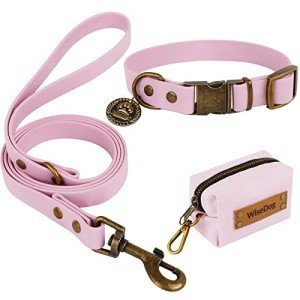 Wisedog Adjustable Dog Collar and Leash Set