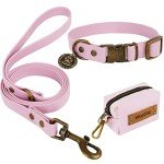 Wisedog Adjustable Dog Collar and Leash Set