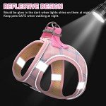 Small Dog Harness and Leash Set - Pink