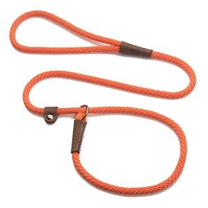 Mendota Pet Slip Leash for Small/Medium Dogs - Orange