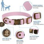 Wisedog Adjustable Dog Collar and Leash Set