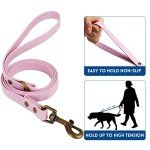 Wisedog Adjustable Dog Collar and Leash Set
