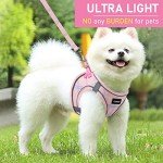 Small Dog Harness and Leash Set - Pink