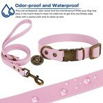Wisedog Adjustable Dog Collar and Leash Set