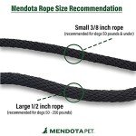Mendota Pet Slip Leash for Small/Medium Dogs - Orange