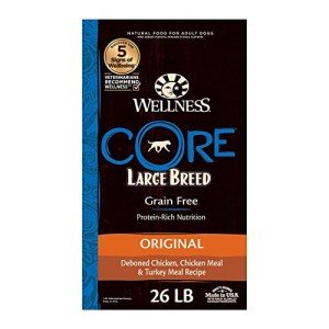Wellness Core Grain-Free Large Breed Dog Food
