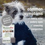 HomeoPet Nose Relief for Pets - Natural Remedy