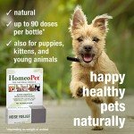 HomeoPet Nose Relief for Pets - Natural Remedy