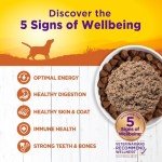 Wellness Wet Dog Food for Happy Pups