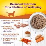 Wellness Wet Dog Food for Happy Pups