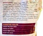 Healthy Cockatiel Bird Food Without Sunflower Seeds