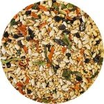 Healthy Cockatiel Bird Food Without Sunflower Seeds