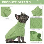 Cozy Turtleneck Sweater for Small Dogs - Green