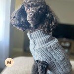 KYEESE Gingham Dog Sweater for Small Dogs