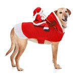 Santa Dog Costume for Christmas Fun