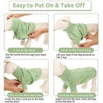 Cozy Turtleneck Sweater for Small Dogs - Green