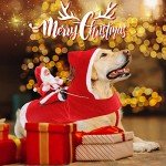 Santa Dog Costume for Christmas Fun