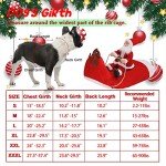 Santa Dog Costume for Christmas Fun