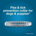 Seresto Small Dog Flea & Tick Prevention Collar