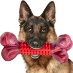 Durable Interactive Dog Toys for Aggressive Chewers