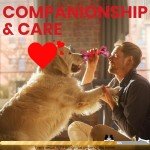 Durable Interactive Dog Toys for Aggressive Chewers