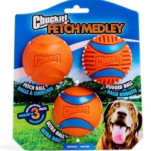 Chuckit! Fetch Medley Dog Balls Variety Pack