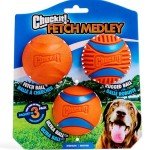 Chuckit! Fetch Medley Dog Balls Variety Pack