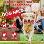 Durable Interactive Dog Toys for Aggressive Chewers