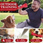 Durable Chew Toys for Aggressive Dogs - Skeleton