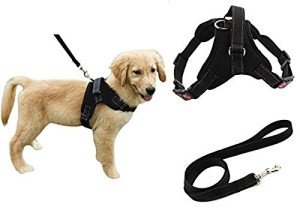 Adjustable No-Pull Dog Safety Harness and Leash Set
