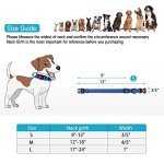 Navy Blue Reflective Dog Collar and Leash Set