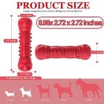 Durable Chew Toys for Aggressive Dogs - Skeleton