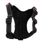 Adjustable No-Pull Dog Safety Harness and Leash Set