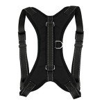 Adjustable No-Pull Dog Safety Harness and Leash Set