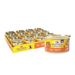 Wellness Grain Free Chicken Pate Cat Food 24-Pack